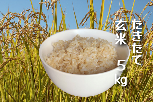 令和8年産【新米】 たきたて(農薬・化学肥料不使用栽培)