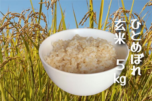 令和7年新米 ひとめぼれ(農薬・化学肥料節減栽培)