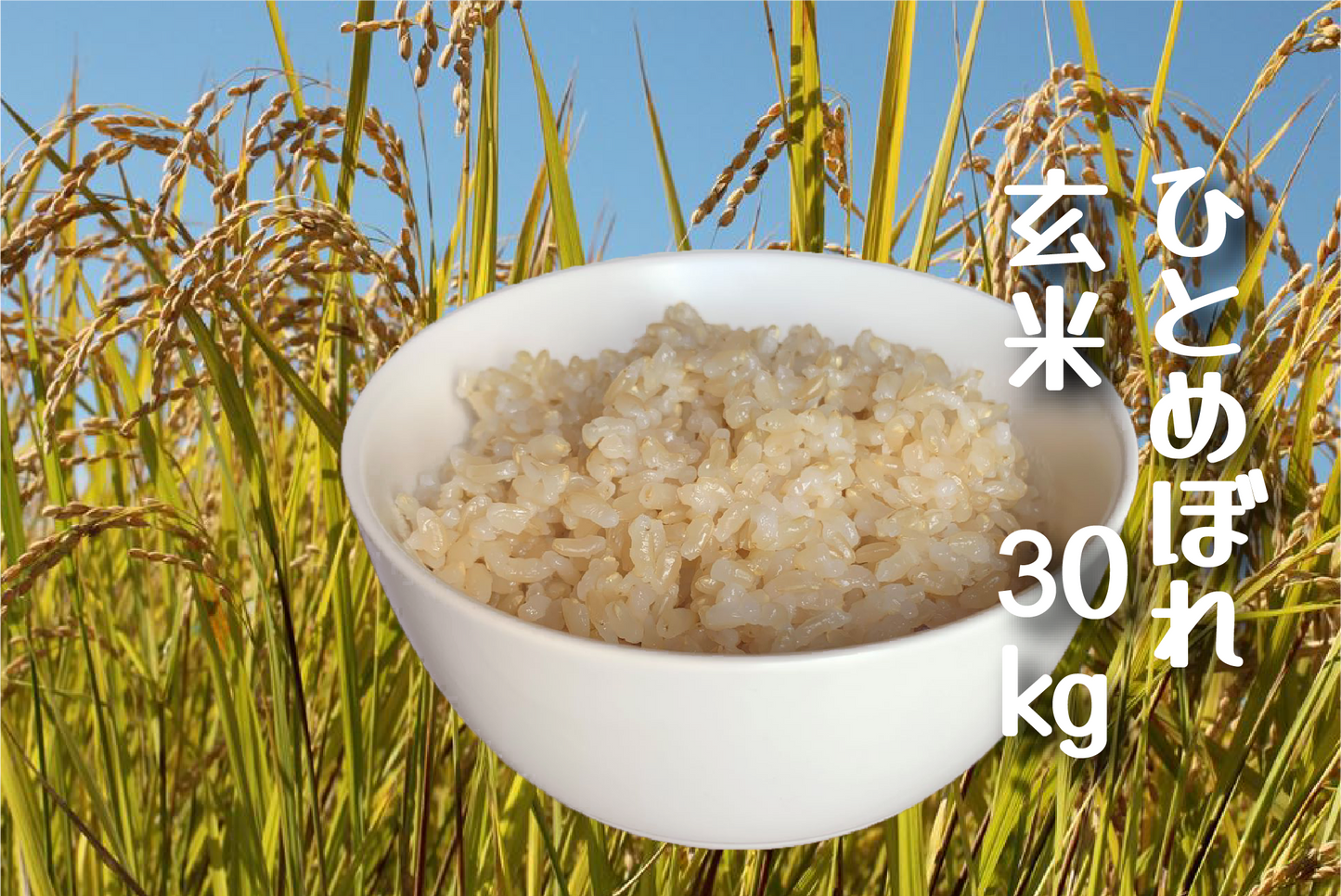 令和7年新米 ひとめぼれ(農薬・化学肥料節減栽培)