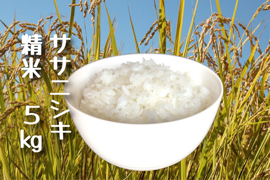 令和7年新米 ササニシキ(農薬・化学肥料不使用栽培)