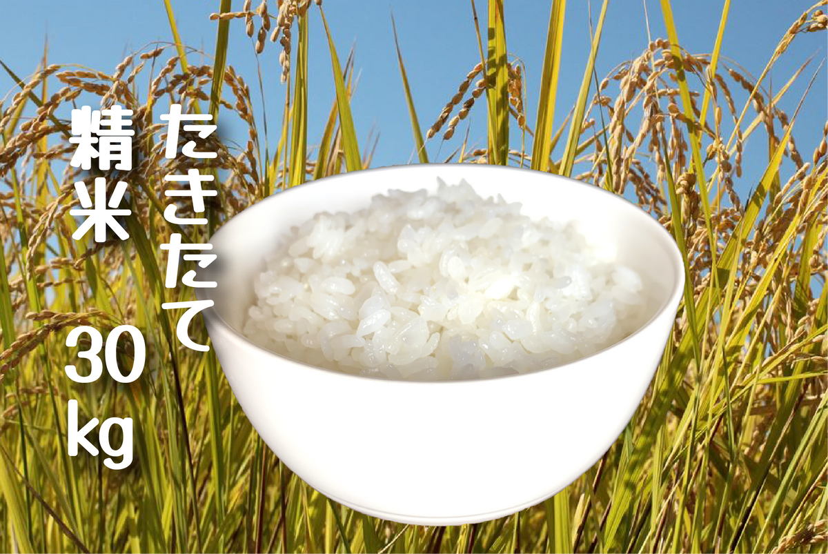 令和8年産【新米】 たきたて(農薬・化学肥料不使用栽培)